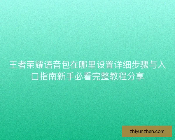 王者荣耀语音包在哪里设置详细步骤与入口指南新手必看完整教程分享