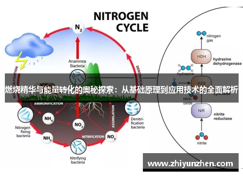 燃烧精华与能量转化的奥秘探索：从基础原理到应用技术的全面解析